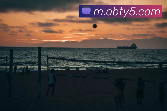 ob欧宝官网平台生态图